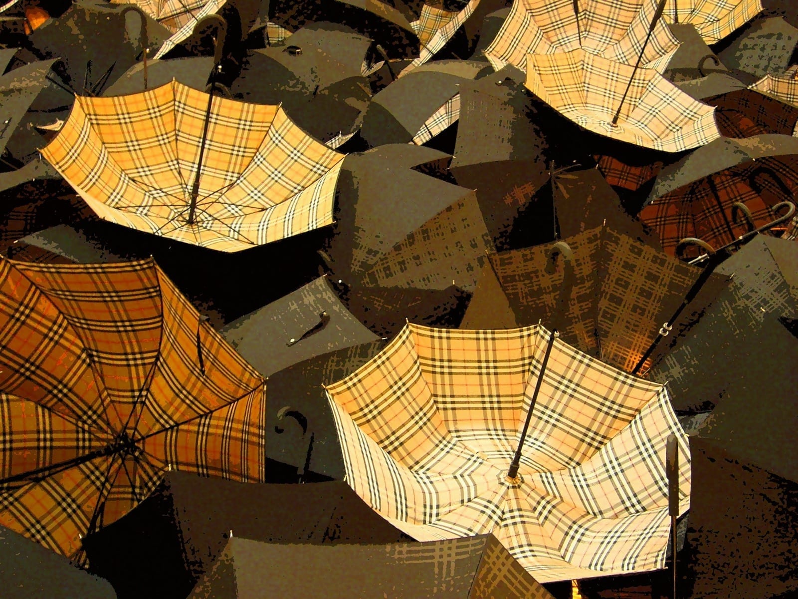 Overhead field of umbrellas showing the Burberry check in public use.
