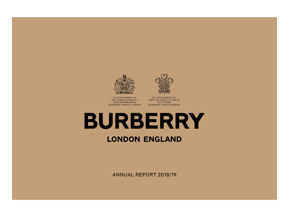 2018 / wordmark system