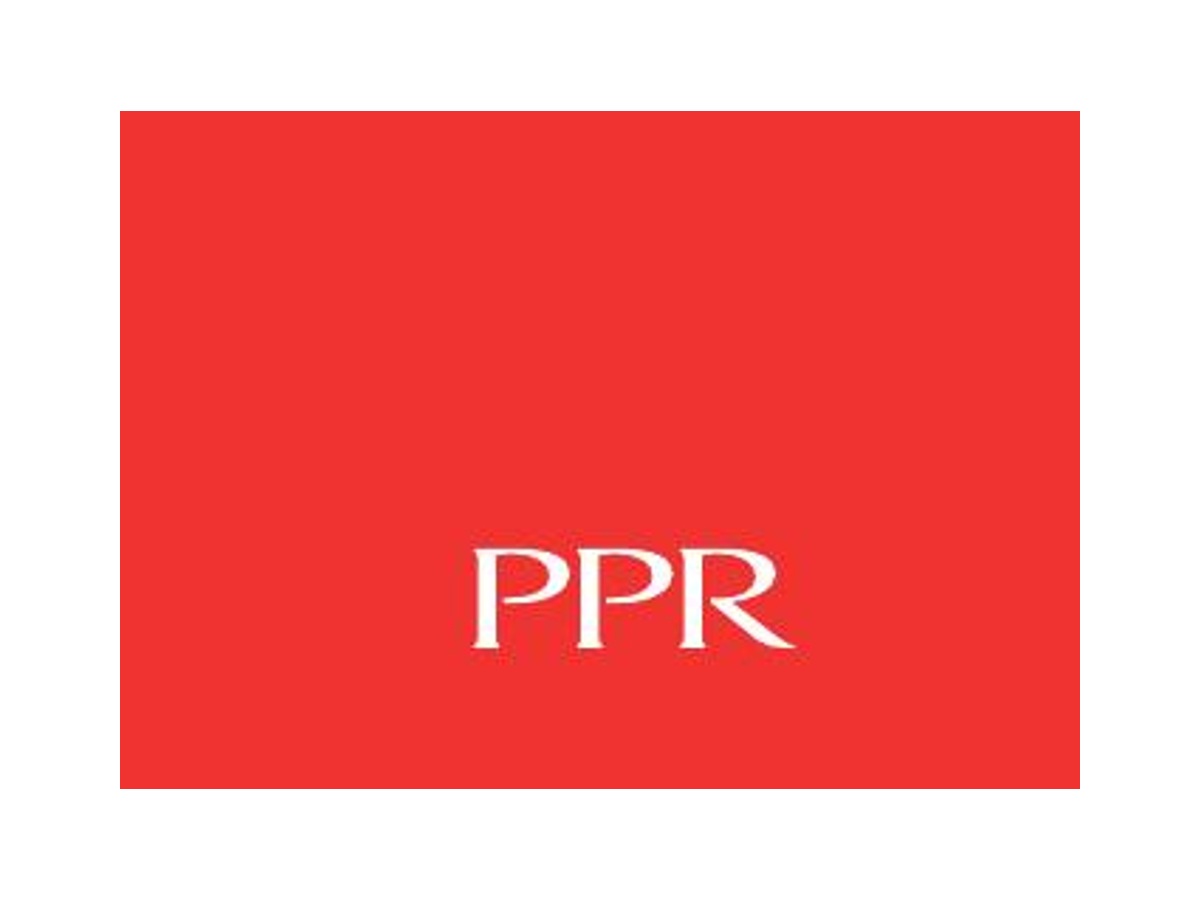 2012 PPR report wordmark