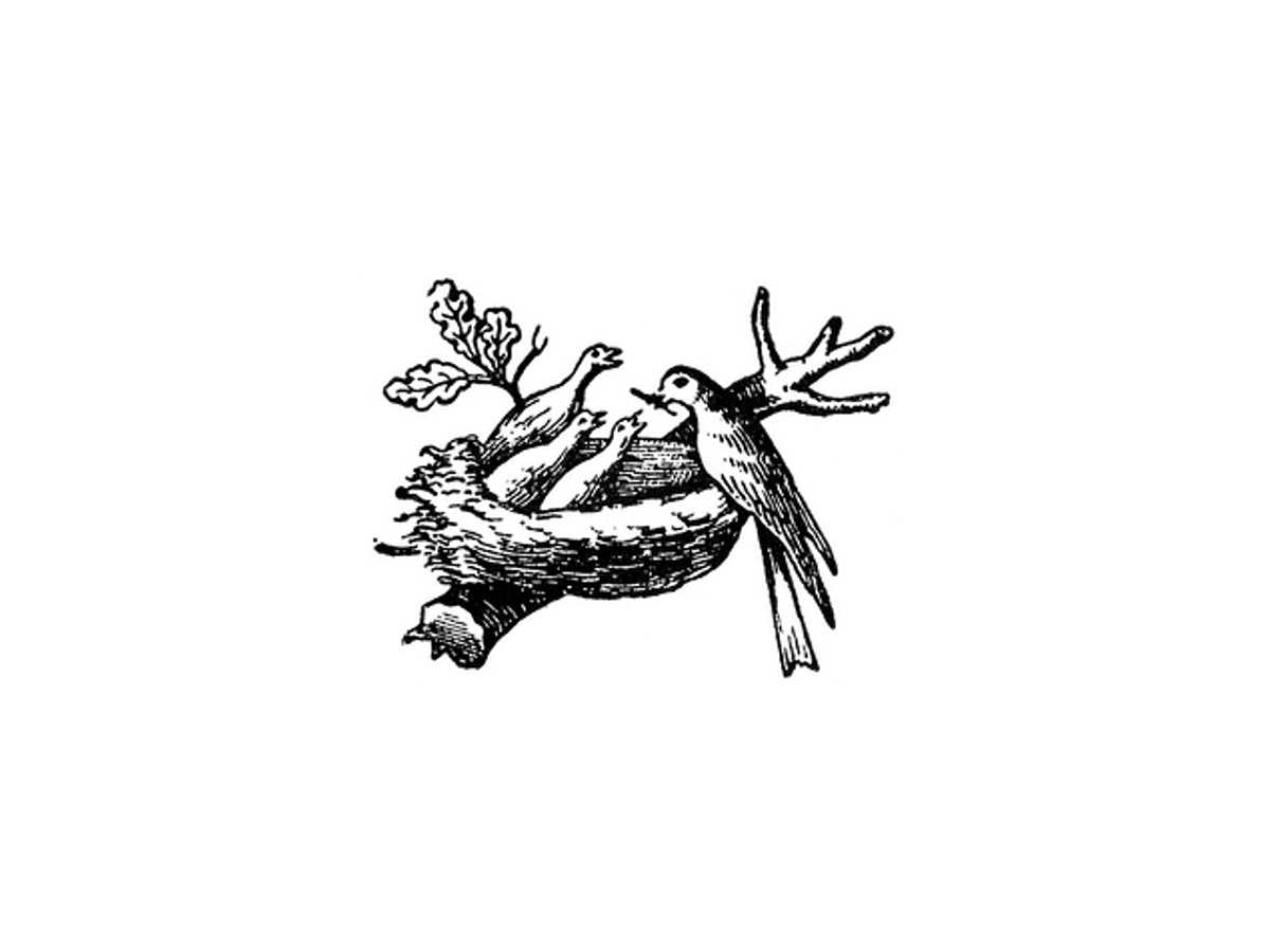 Original nest mark