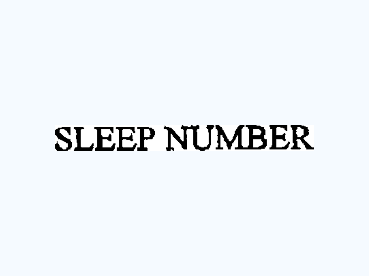 2000 / early Sleep Number wordmark